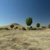 Southwest New Mexico ranch
Hidalgo County.