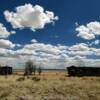 Abandoned ranch buildings.
Catron County, NM.