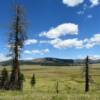 New Mexico's Valle Grande.
Off of State Highway 4.
Sandoval County.