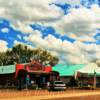 Lone Dove Art Gallery-
Broadview, NM~