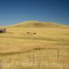 Beautiful open range~
Along Highway 72
near Folsom, NM.