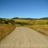 'Looking north' along a ranch road~
(Near the Colorado border).