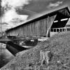 Downsville Covered Bridge.
(east angle--black & white).