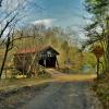 Bendo Covered Bridge
(built 1860)
Over the Willowemoc Creek.
Near Anderson, NY.