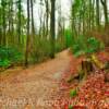 Linville Falls Trail~
(Near Milepost 300)
Blue Ridge Parkway~