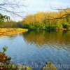 Evening along North Carolina's
Blue Ridge Parkway~
(near mile marker 298).