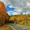 Looking north along 
Highway 441.
South of Newfound Gap.
Smoky Mountains.