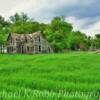 Ranchers' house
(abandoned since the 1950's)
Near Nome, ND.