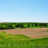 The rolling central hills~
Near Washburn, ND.