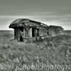 Abandoned 1940's rail car~
McHenry County.