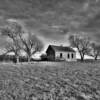 1890's relic.
Near Hazleton, ND.