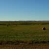 Rolling hayfield.
Near Glen Ullen, ND.