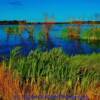 Wetlands-north of Minot, North Dakota