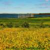 Marshlands-near Valley City, North Dakota