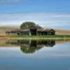 Reflective old barn and stable.
West of Pingree.