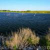 Stump Lake~
Near Pekin, North Dakota.