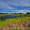 Scenic 'brush' setting~
Southeastern North Dakota.