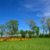 Farm implementary equipment in a rural setting~
Near Verona, ND.