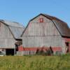 Quintessential barn scene.
Williams County.