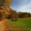 Secluded autumn setting~
Southeast Ohio.