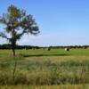 Another pristine hayfield.
Okmulgee County, OK.