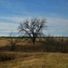 An unobtrusive desolate scene in southwest Oklahoma.