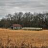 Picturesque old field near
Okmulgee, OK.