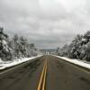 A beautiful fallen snow on the
pines of the Sansbois Mtns 
in southeast Oklahoma.