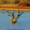 Lake Etling, western Oklahoma