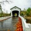 Pengra Covered Bridge~
(southern angle)