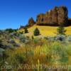 Maury Butte-
Along State Highway 380 in 
central Oregon~