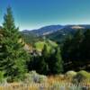 Strawberry Valley.
Near Canyon Creek Summit~