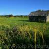 Typical rural Oregon ranchland-
near Prairie City, Oregon