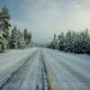 Klamath County Highway 61
(mid-December)
Near Crescent, Oregon.