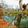 Conococheague Creek~
Southcentral Pennsylvania.