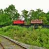 Catawissa Railroad.
Mid-1900's cabooses.
Columbia, PA.