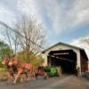 Pennsylvania Amish.
Eshelmanns Mill 
Covered Bridge.
