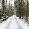 Bucks County backroad.
Mid-December.