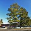 Bogert Covered Bridge.
(west angle)