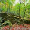 Spartanburg County, SC
Old Greenville-Asheville Wagon Trail--Stone Bridge remnants~