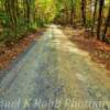 Sagebrush Lane-
near Camden, SC~