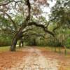 South Carolina autumn day.
Beaufort County.