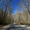 South Carolina in February.
Near Poinsett Bridge.