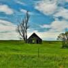 Typical western South Dakota
scene.
Near Enning, SD.