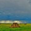 Western South Dakota Storm.
Near Opal, SD.