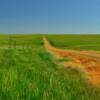 More rolling grasslands.
Haakon, SD.