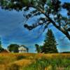 1930's ranchers setting.
(near Canistota, SD)