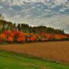 Changing autumn colors.
Near Alexandria, SD.