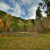 Black Hills-back country.