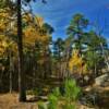 Changing colors.
Southern Black Hills.